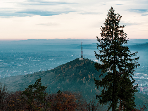 Telecommunication tower in the middle of a forest