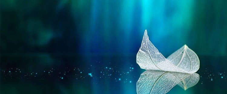 Upskill and educate to act on climate pledges