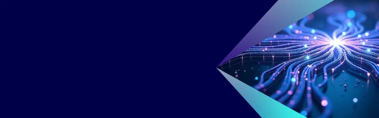 AI Training Data Services